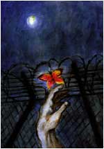 Butterfly & Razor Wire